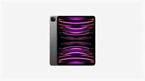 Apple iPad Pro 13" 256 гб with cellular Space Gray ipadpro13_256_sim_gray