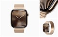 Apple Watch Series 10 46мм Titanium Gold 1984 - фото 5346